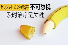 「洛阳包皮过长医